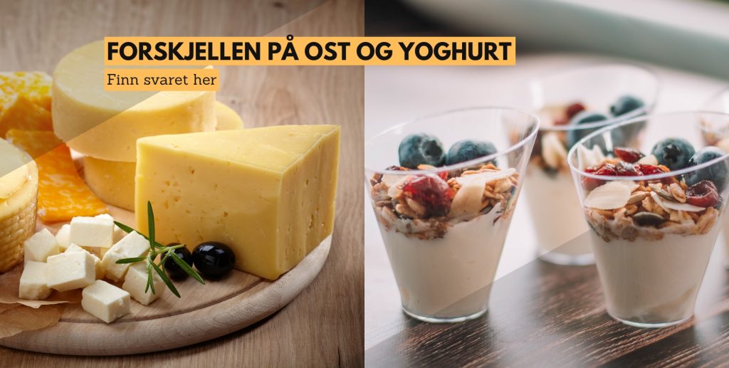 Forskjellen på ost og yoghurt