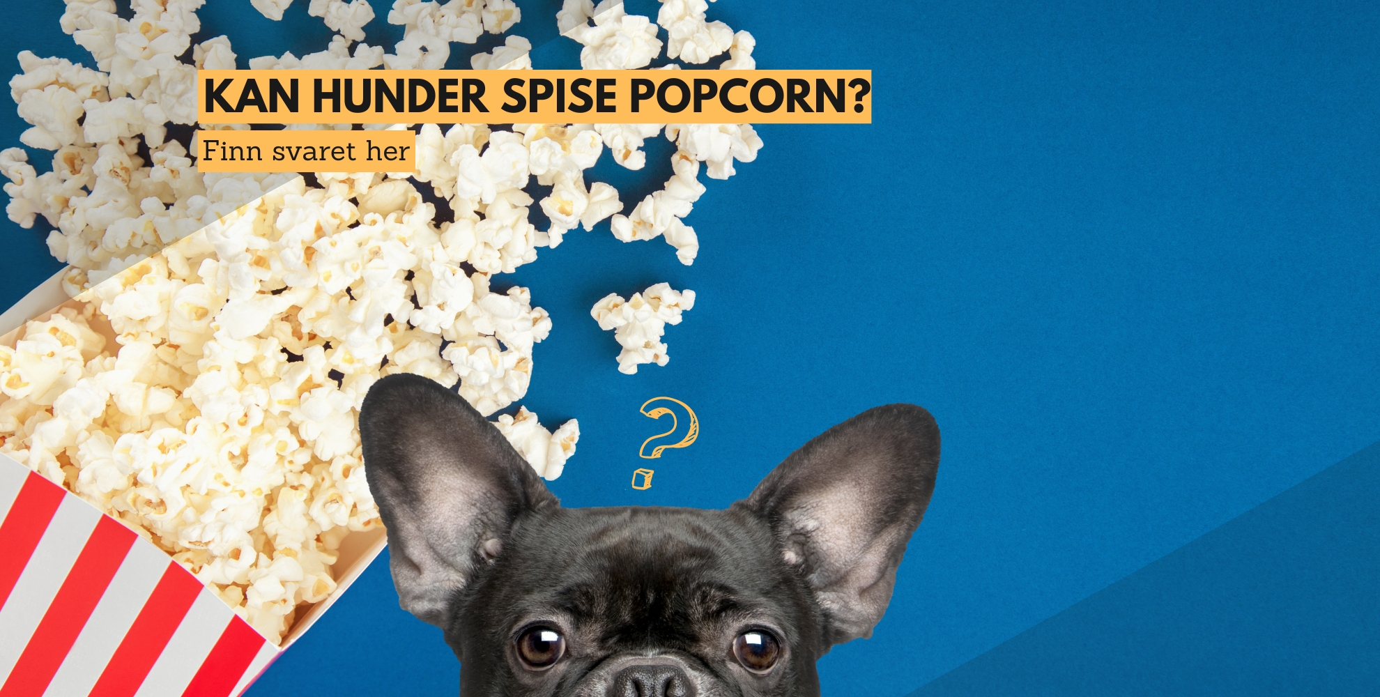 Kan hunder spise popcorn