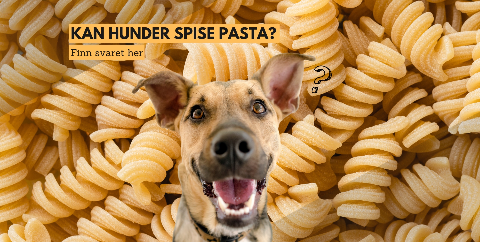 kan hunder spise pasta